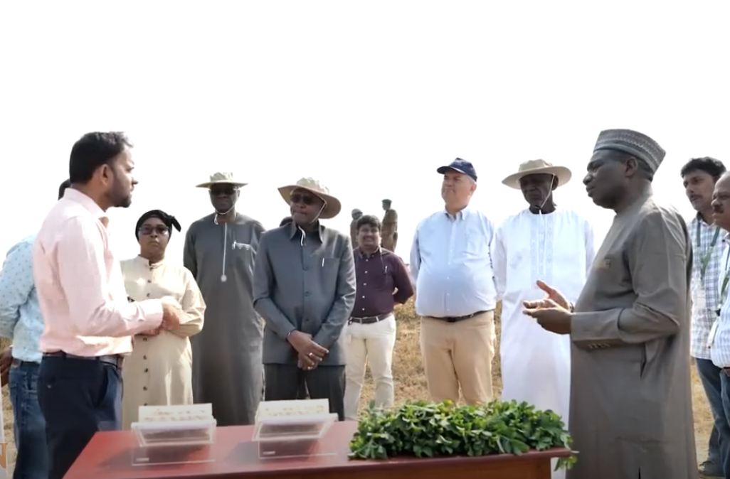 partenariat avec licrisat le niger renforce sa strategie de cultures resilientes et de transfert de technologies
