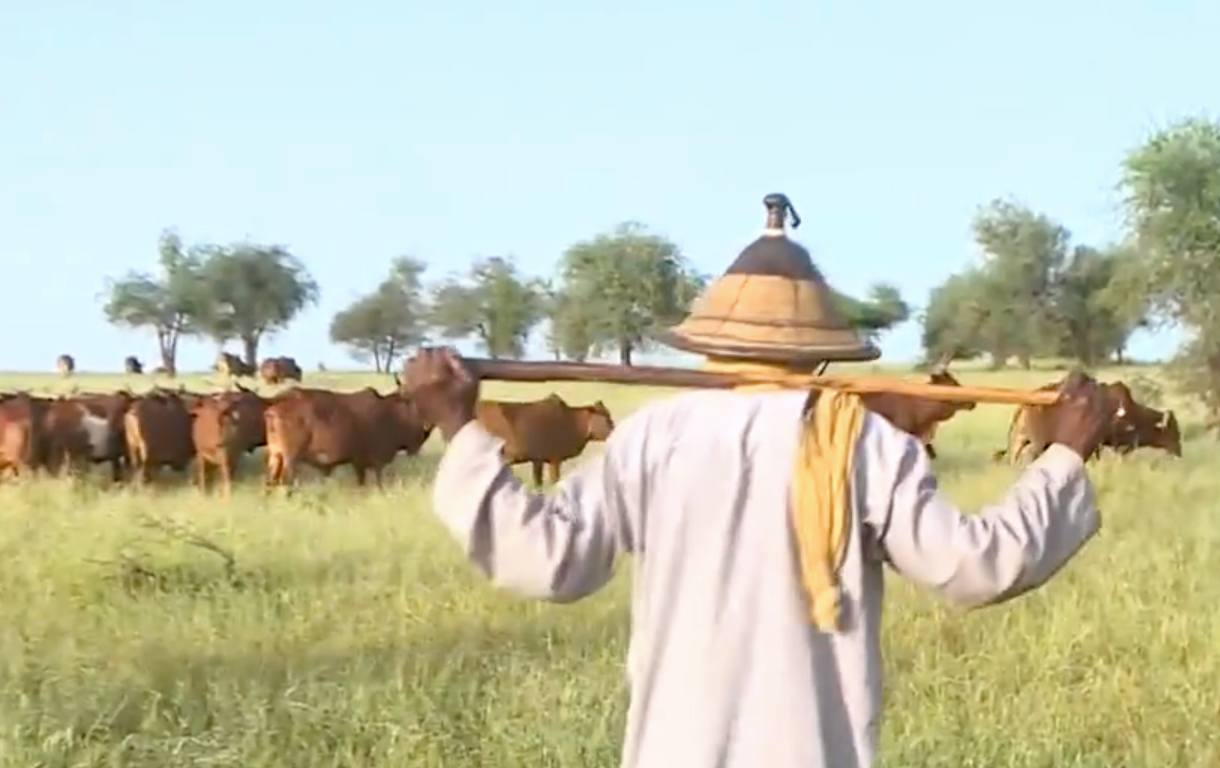 saison pastorale 2024 Niger