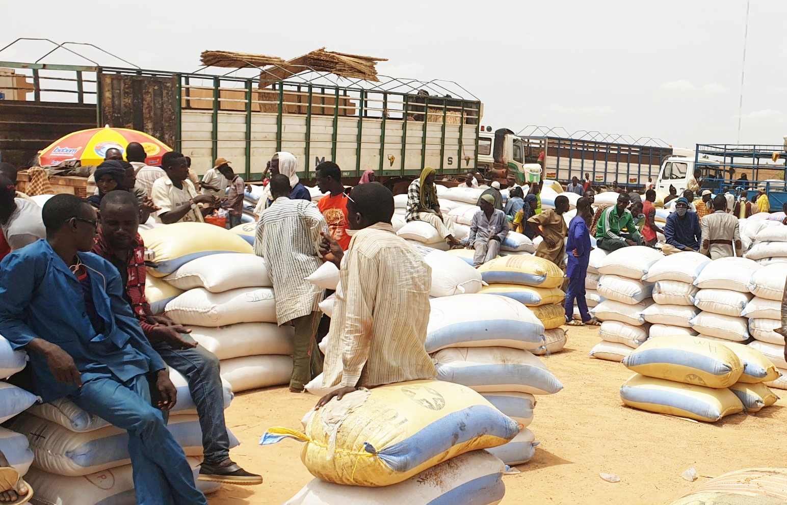 securite alimentaire les prix des cereales continuent de baisser sur un an au niger