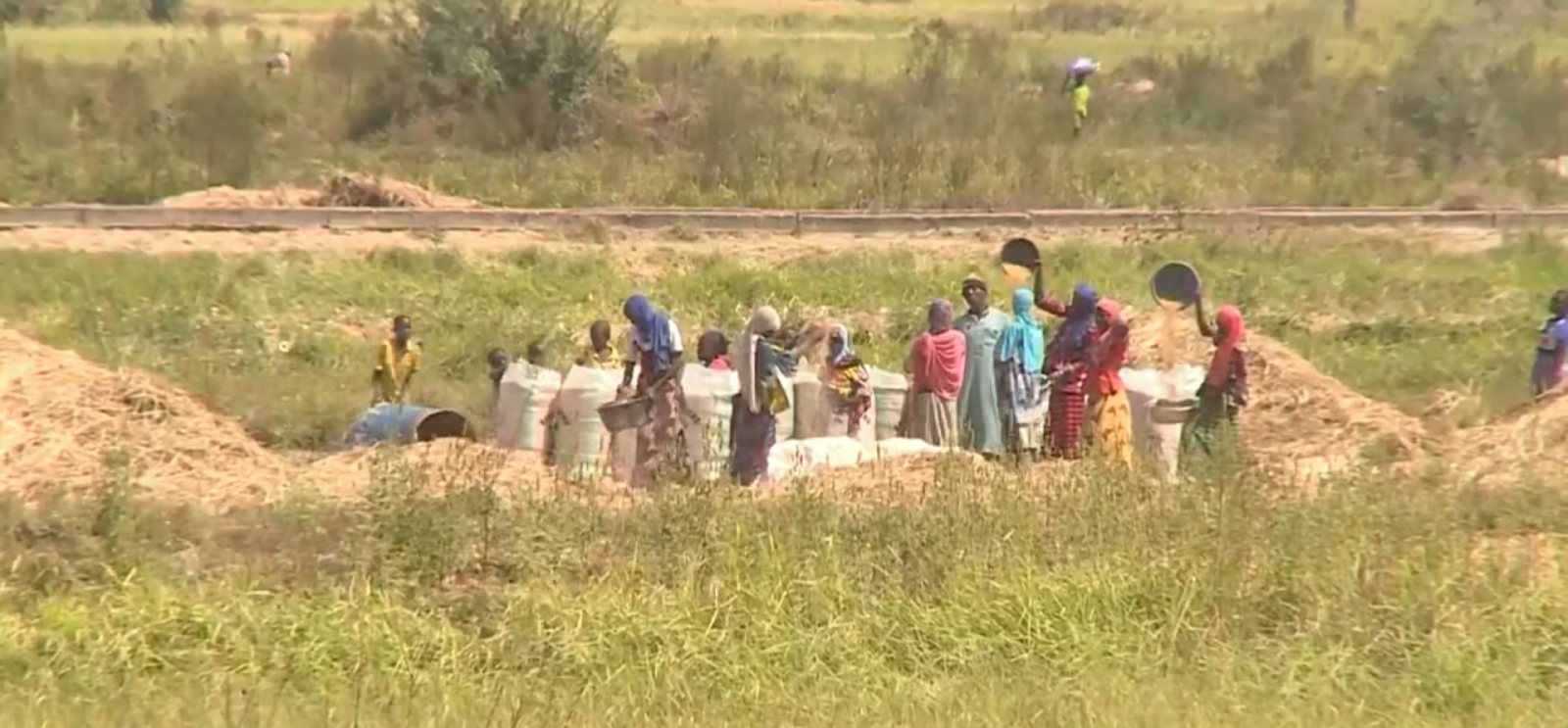 de la flambee a labondance comment le niger a reussi a faire chuter les prix alimentaires.jpg