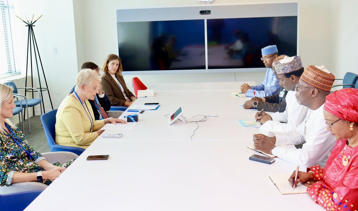 80e assemblee generale de lonu le niger multiplie les partenariats strategiques