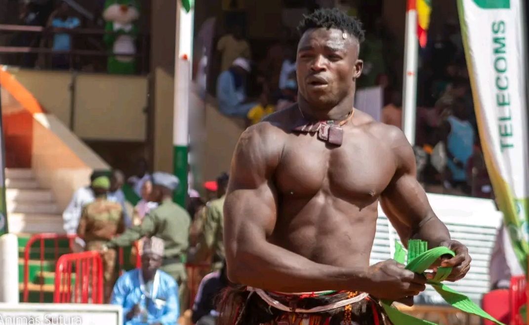 Aibo Hassan Maradi