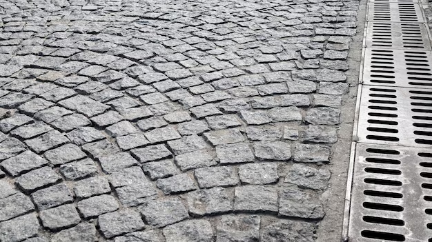 acrn sahel des jeunes nigeriens a loffensive contre les inondations et la degradation des routes a niamey