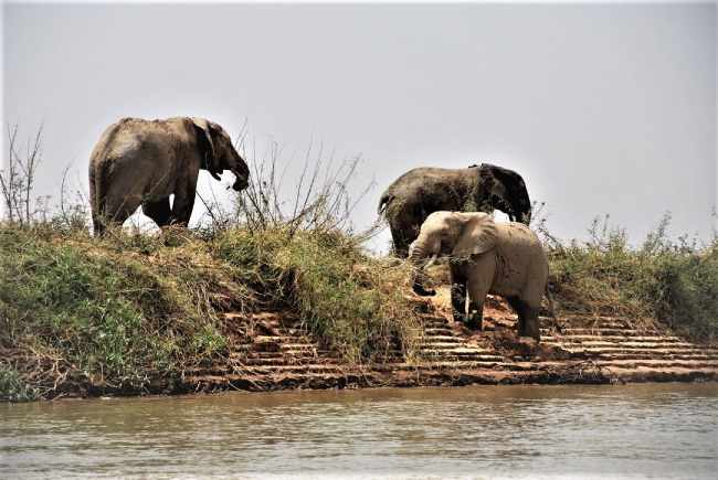 protection de la biodiversite le niger institue officiellement le corps des eco gardes